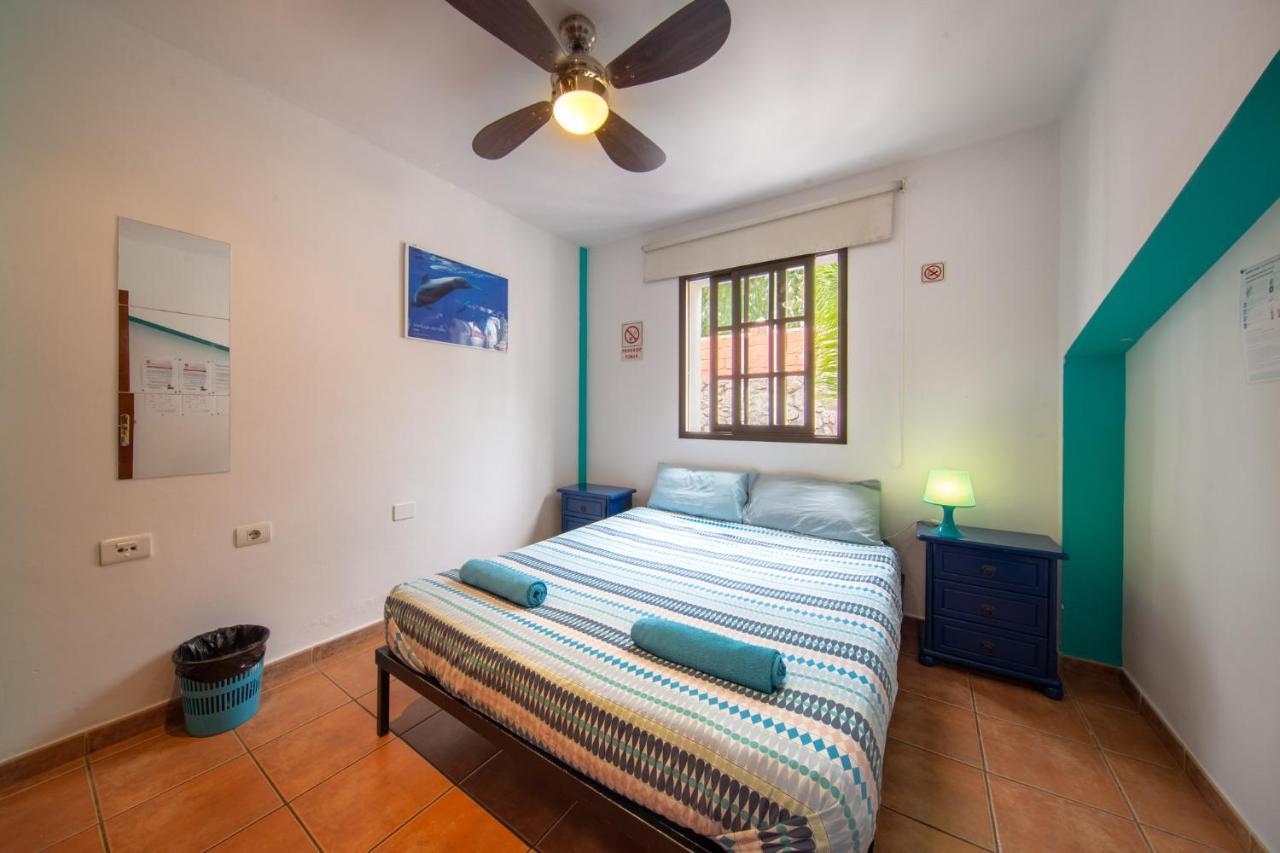 La Tortuga Hostel Costa Adeje  Esterno foto
