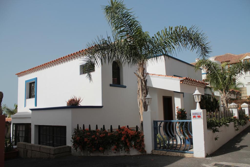 La Tortuga Hostel Costa Adeje  Esterno foto